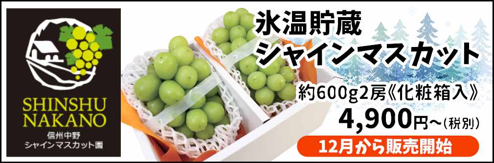 Orange　シャインマスカット 日東紅茶 至福のシャインマスカット 5袋（8本入×5） - アスクル