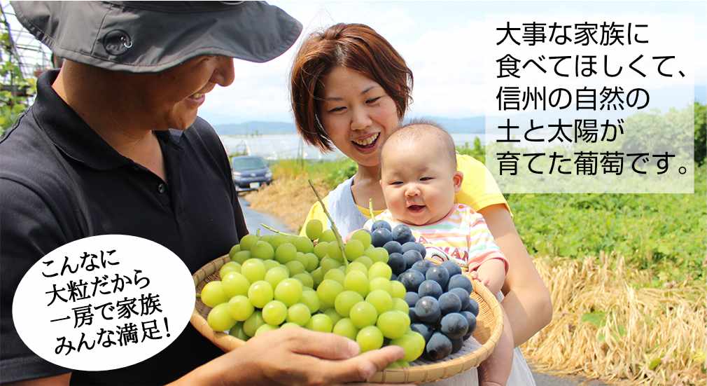 信州中野シャインマスカット園